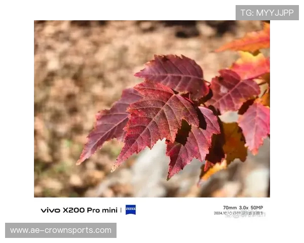 适合不玩游戏只拍照的高性价比手机推荐让你的每一拍都精彩